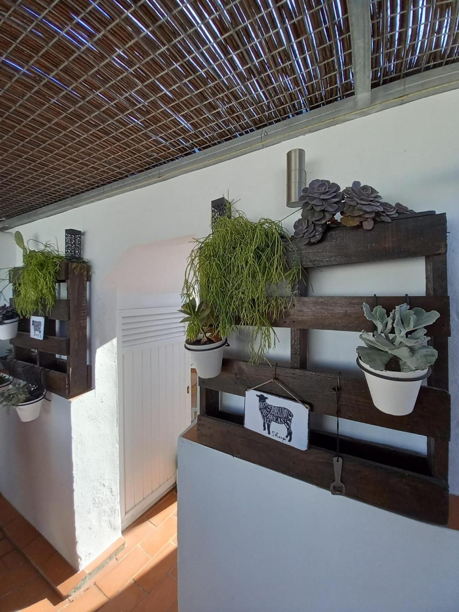 Willa Casa El Molino Conil De La Frontera Zewnętrze zdjęcie